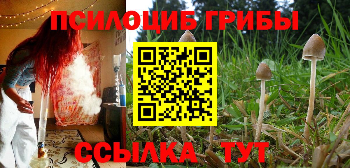 Галлюциногенные грибы Psilocybine cubensis  Вход с VPN  Йошкар-Ола  Галлюциногенные грибы GOLDEN TEACHER 