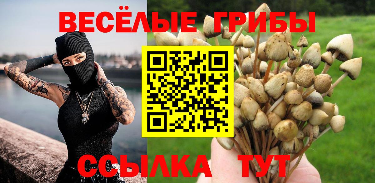 Галлюциногенные грибы ЛСД Йошкар-Ола