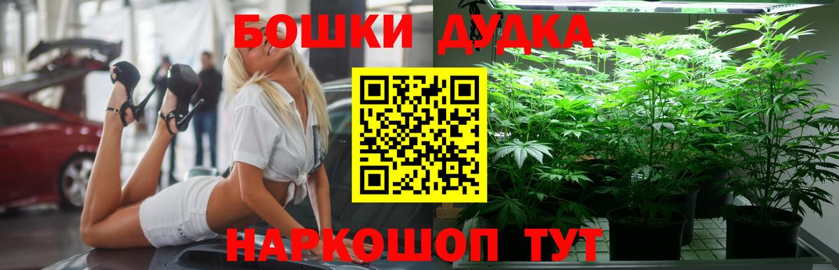 Конопля White Widow  Конопля AK-47  Йошкар-Ола  Бошки Шишки сатива  Вход с VPN  Каннабис индика 